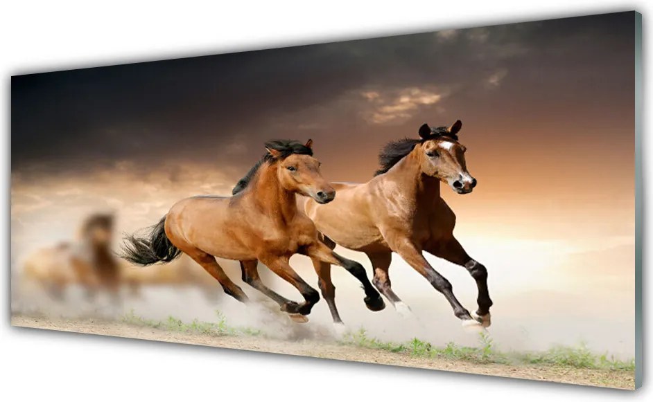 Szkło Ozdobne do Kuchni Dzikie Konie W Galopie