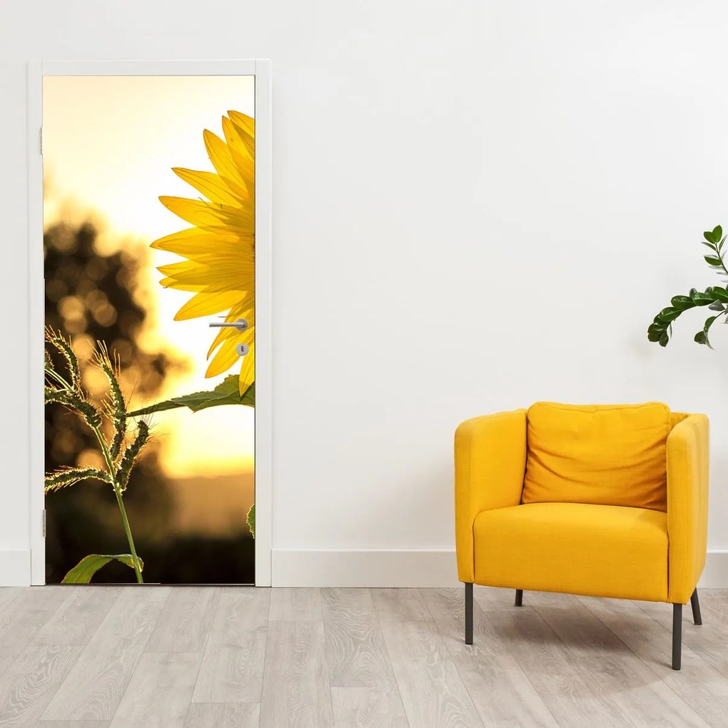 Fototapeta na drzwi - Słonecznik (95x205cm)