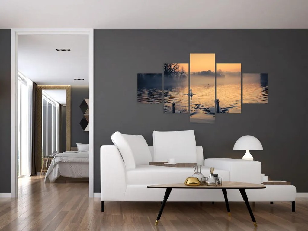 Obraz łabędzi na wodzie we mgle (125x70 cm)