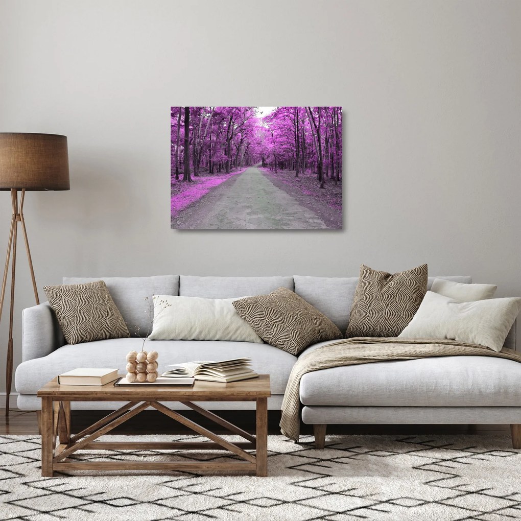 Obraz na szkle - Ścieżka przez park (70x50 cm)