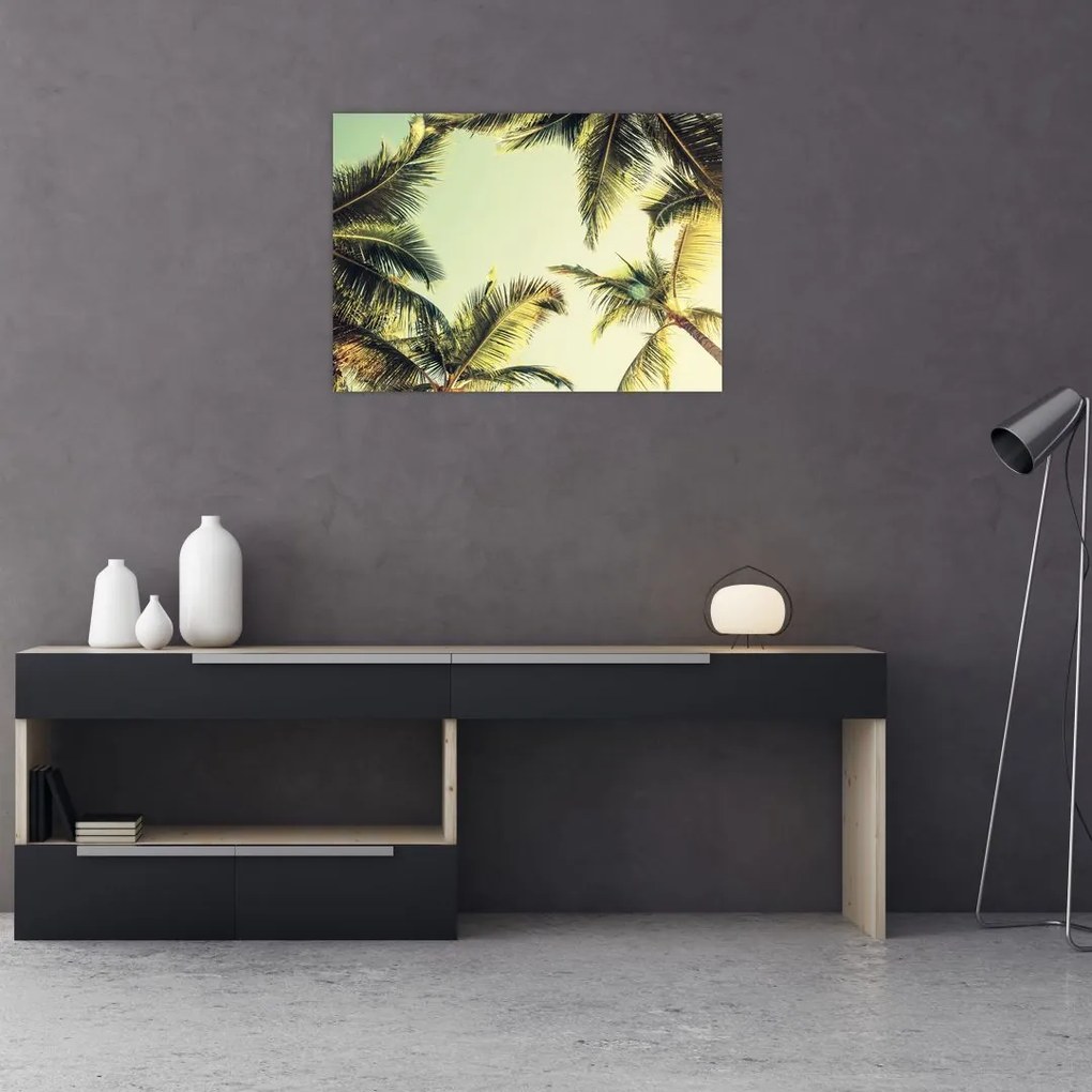 Obraz na szkle z palmami kokosowymi (70x50 cm)