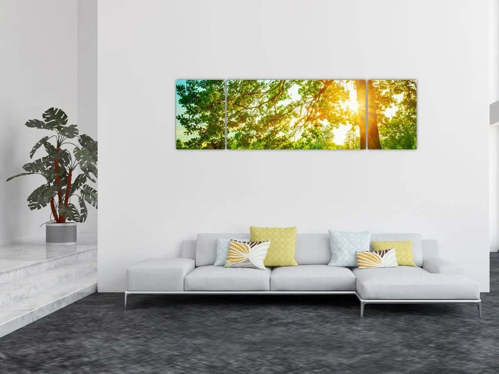 Obraz - Słoneczny Las (170x50 cm)