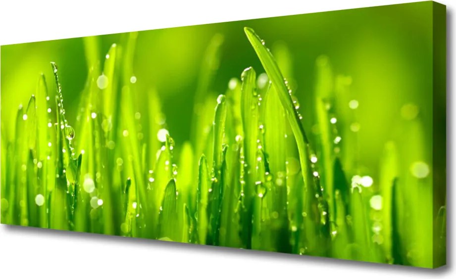 Obraz canvas Drewniany Pomost o Zmierzchu