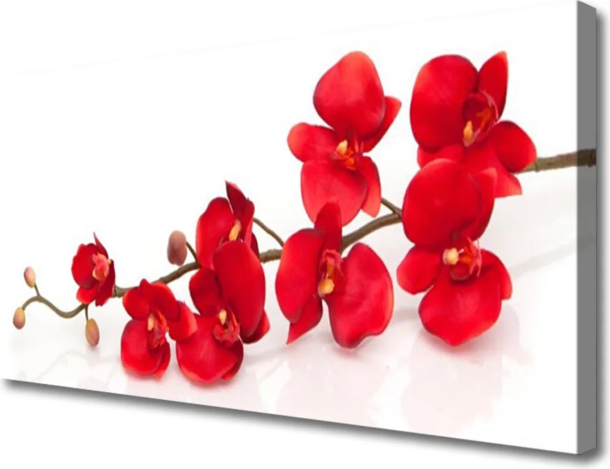 Zdjęcie na płótnie Klasyczny Motyw Botaniczny