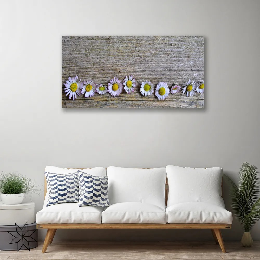 Obraz canvas Śnieżnobiała Stokrotka w Trawie