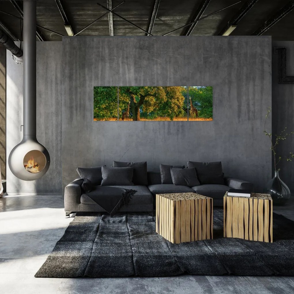 Obraz żyraf w naturze (170x50 cm)