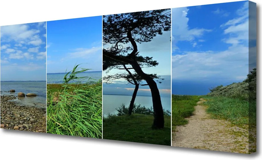 Obraz na płótnie Samotne Drzewo na Plaży