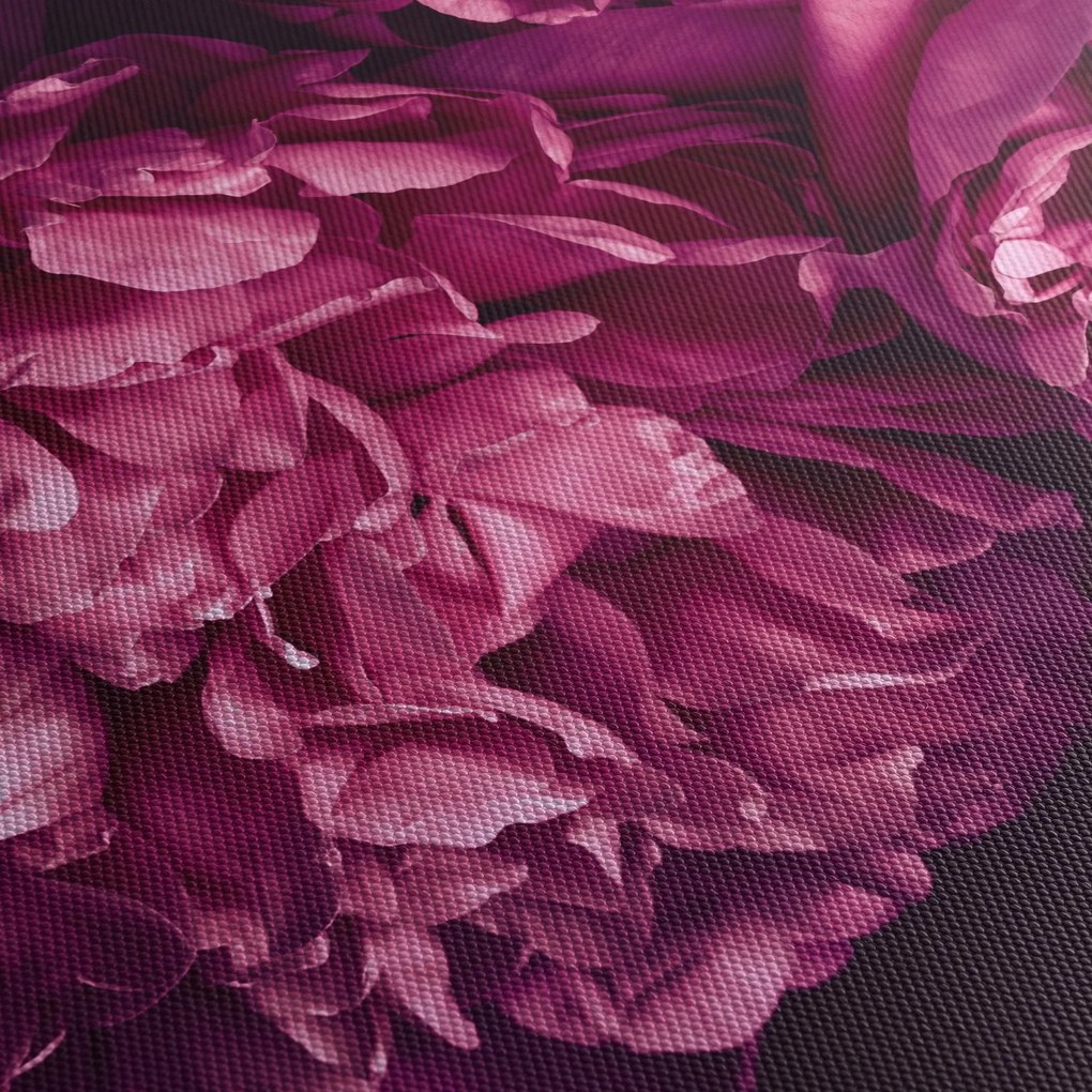 Obraz - Kwiaty piwonii (z zegarem) (90x30 cm)