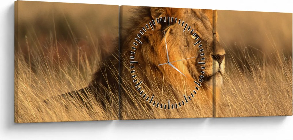 Obraz - Park Narodowy Etosha (z zegarem) (90x30 cm)
