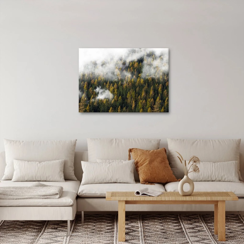 Obraz lasu w chmurach (70x50 cm)