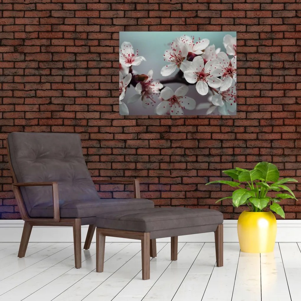 Obraz na szkle - kwiat - czerwony (70x50 cm)