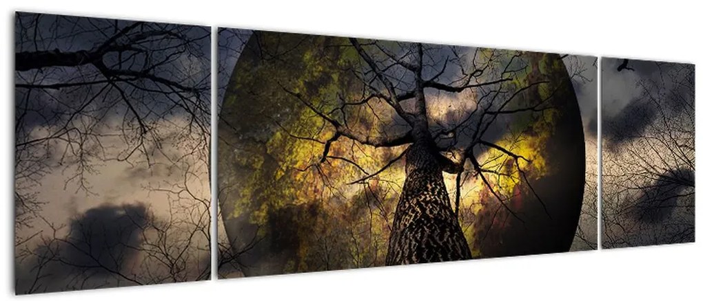 Obraz - Tajemnicze niebo (170x50 cm)