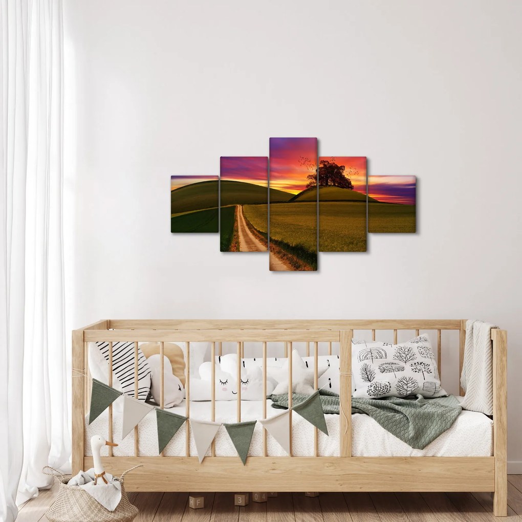 Obraz pola z zachodem słońca (125x70 cm)