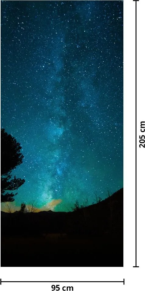 Fototapeta na drzwi - Nocne niebo z gwiazdami (95x205cm)