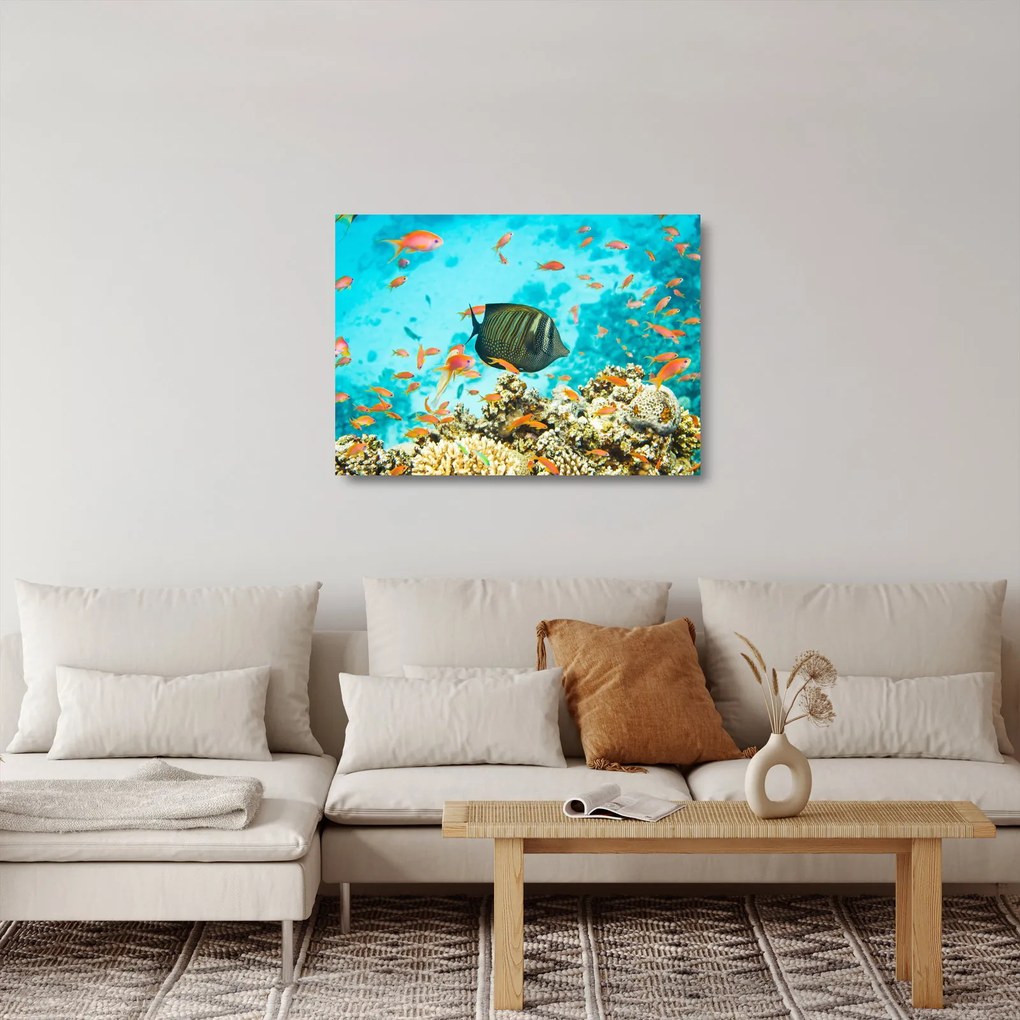 Obraz na szkle podwodnego świata (70x50 cm)