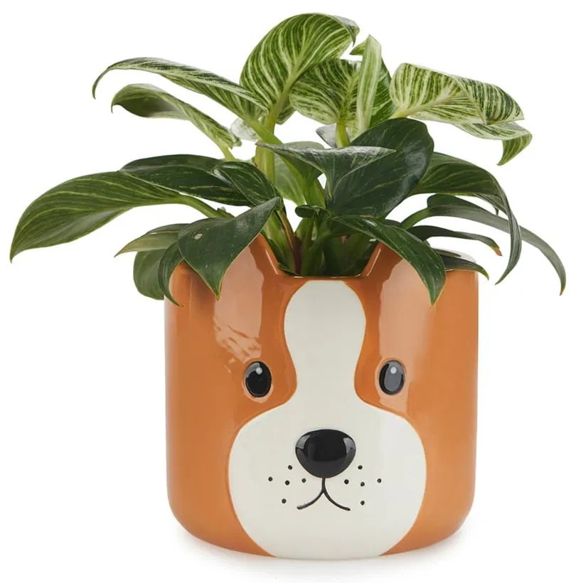 Ceramiczna doniczka ø 13,5 cm Woof – Balvi