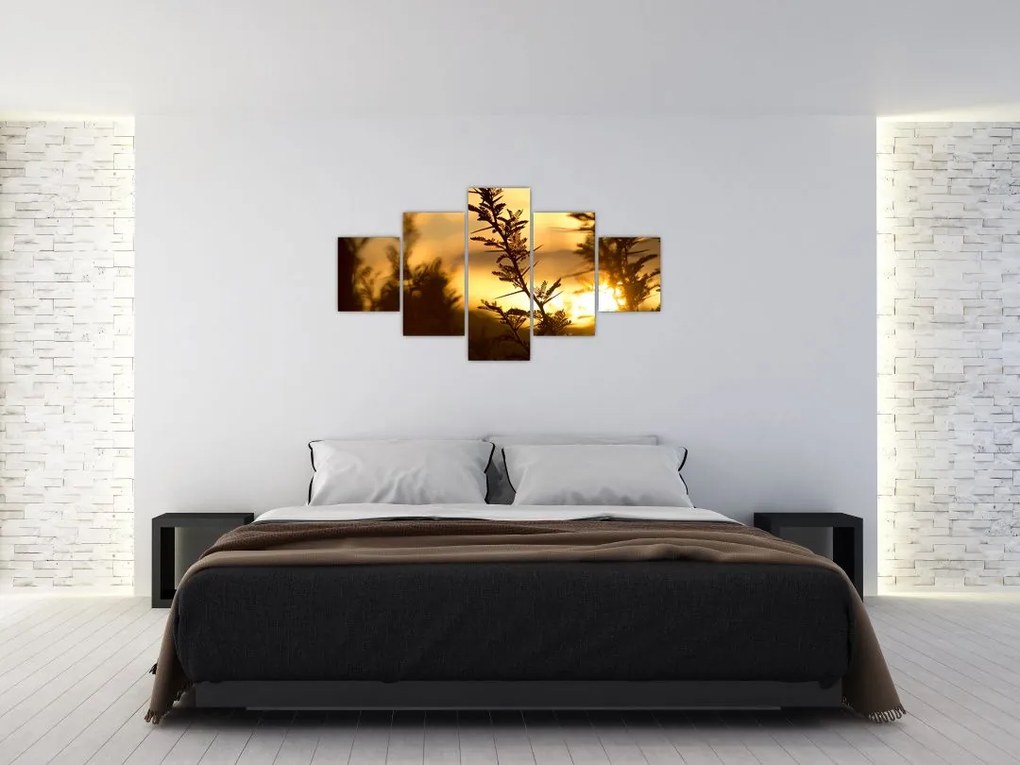 Obraz - słońce zachodzące za drzewami (125x70 cm)