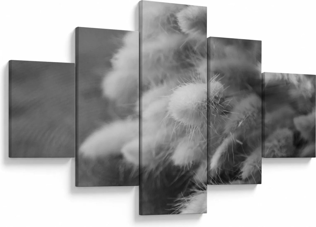 Obraz - trawa z króliczym ogonkiem na stole (125x70 cm)