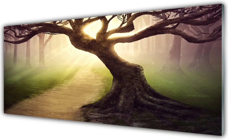 Panel Szklany Promienie Słońca w Koronie Drzewa