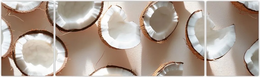 Obraz - Kokosy (170x50 cm)