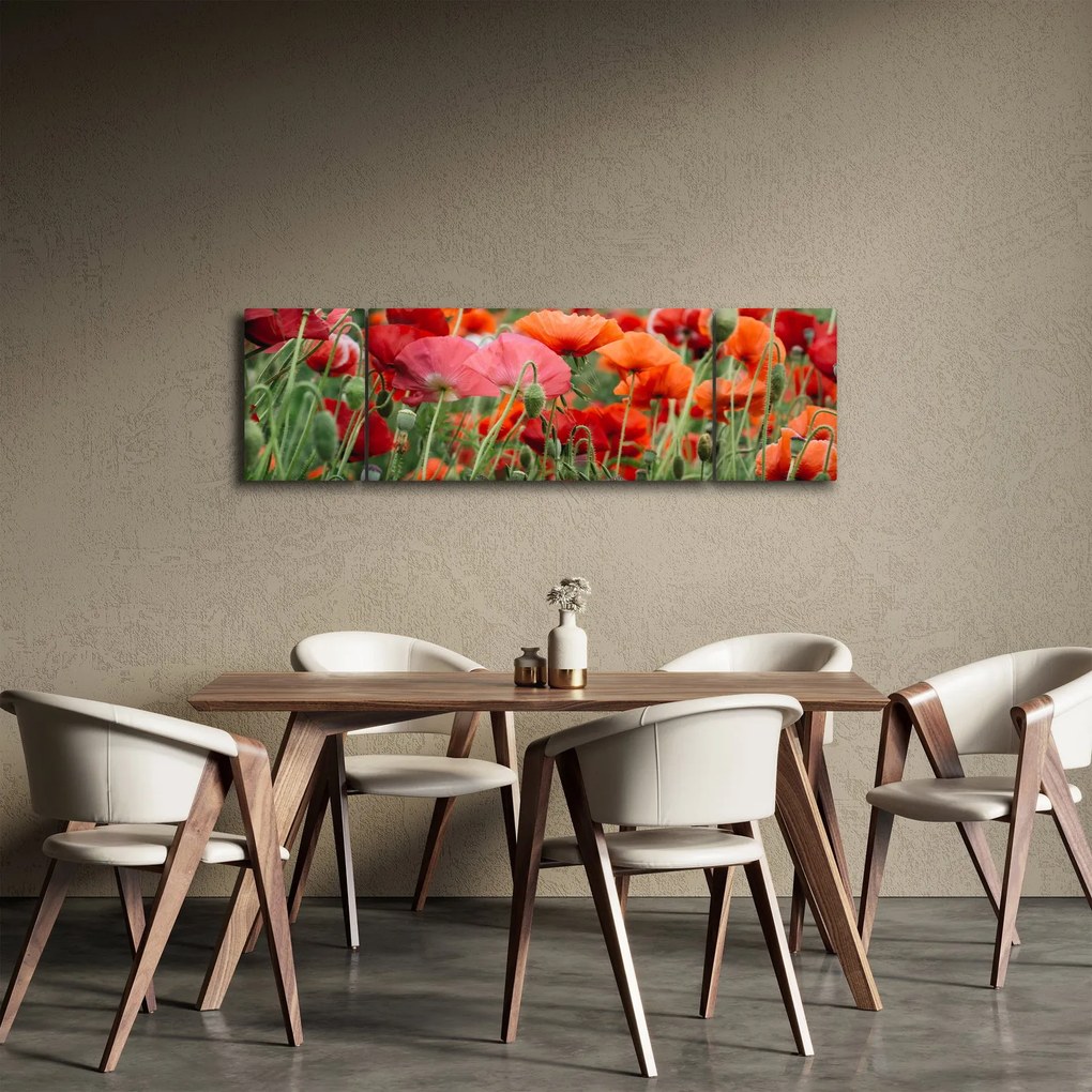 Obraz pola maków (170x50 cm)