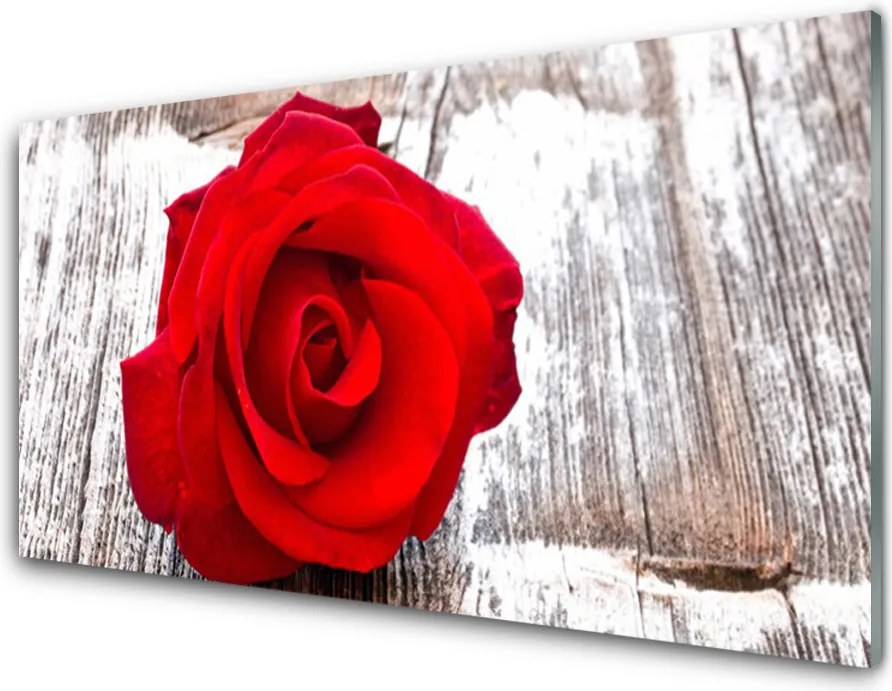 Panel Szklany do Kuchni Aksamitna Róża Ogrodowa