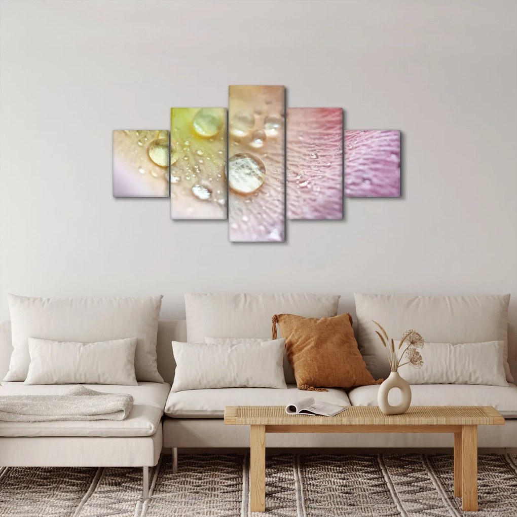 Obraz - Krople rosy (125x70 cm)