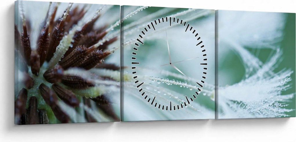 Obraz - Detal kwiatu (z zegarem) (90x30 cm)