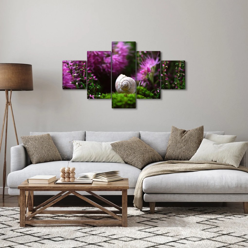 Obraz - Muszla ślimaka (125x70 cm)