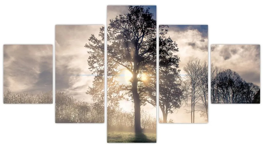 Obraz drzewa we mgle (125x70 cm)