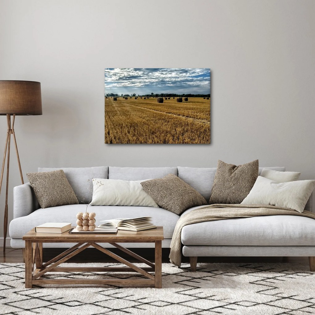 Obraz zebranego pola zboża (70x50 cm)