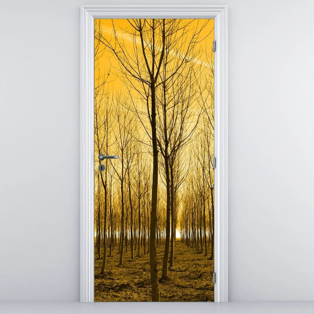 Fototapeta na drzwi - Las o zachodzie słońca (95x205cm)