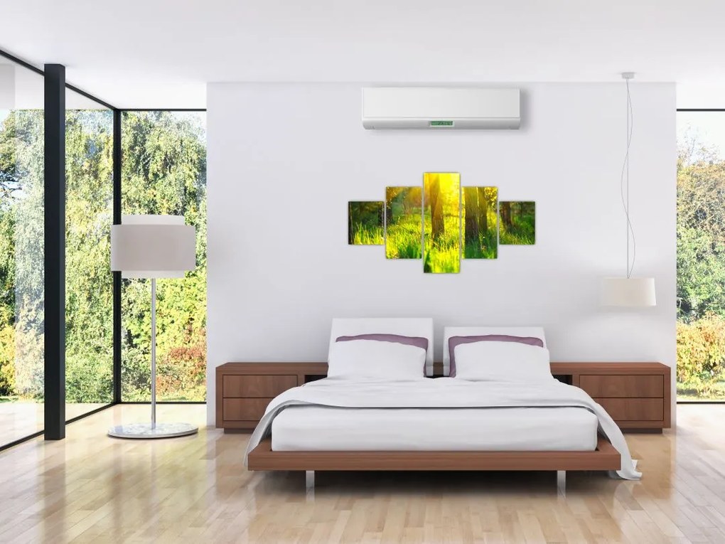 Obraz - Wiosenne przebudzenie lasu (125x70 cm)