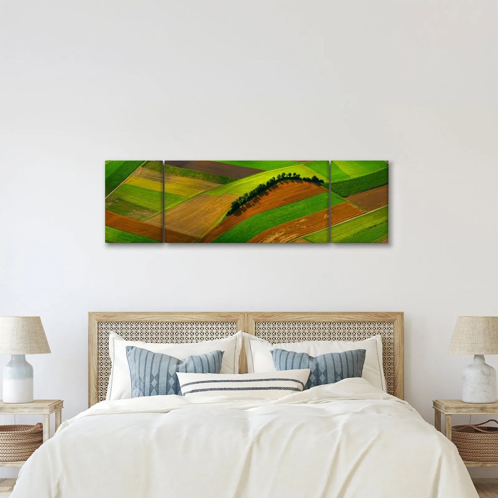 Obraz - Pola, łąki (170x50 cm)