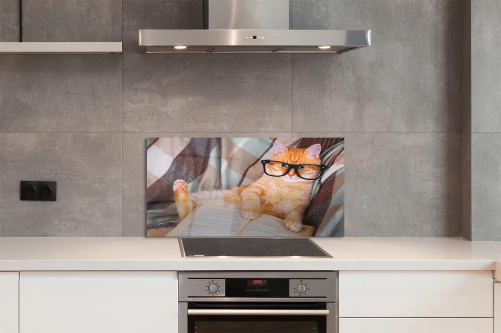 Panel Szklany Inteligentny Kot Bibliofil