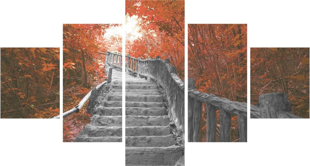 Obraz - Schody w naturze, pomarańczowy (125x70 cm)
