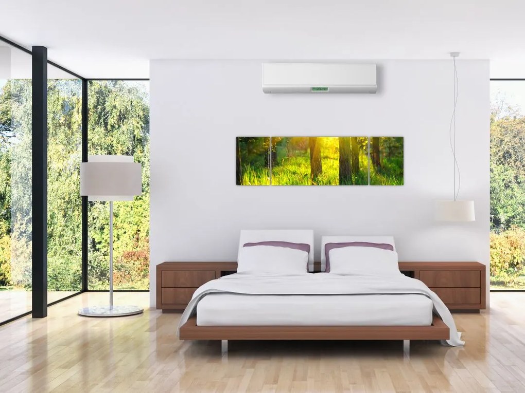 Obraz - Wiosenne przebudzenie lasu (170x50 cm)