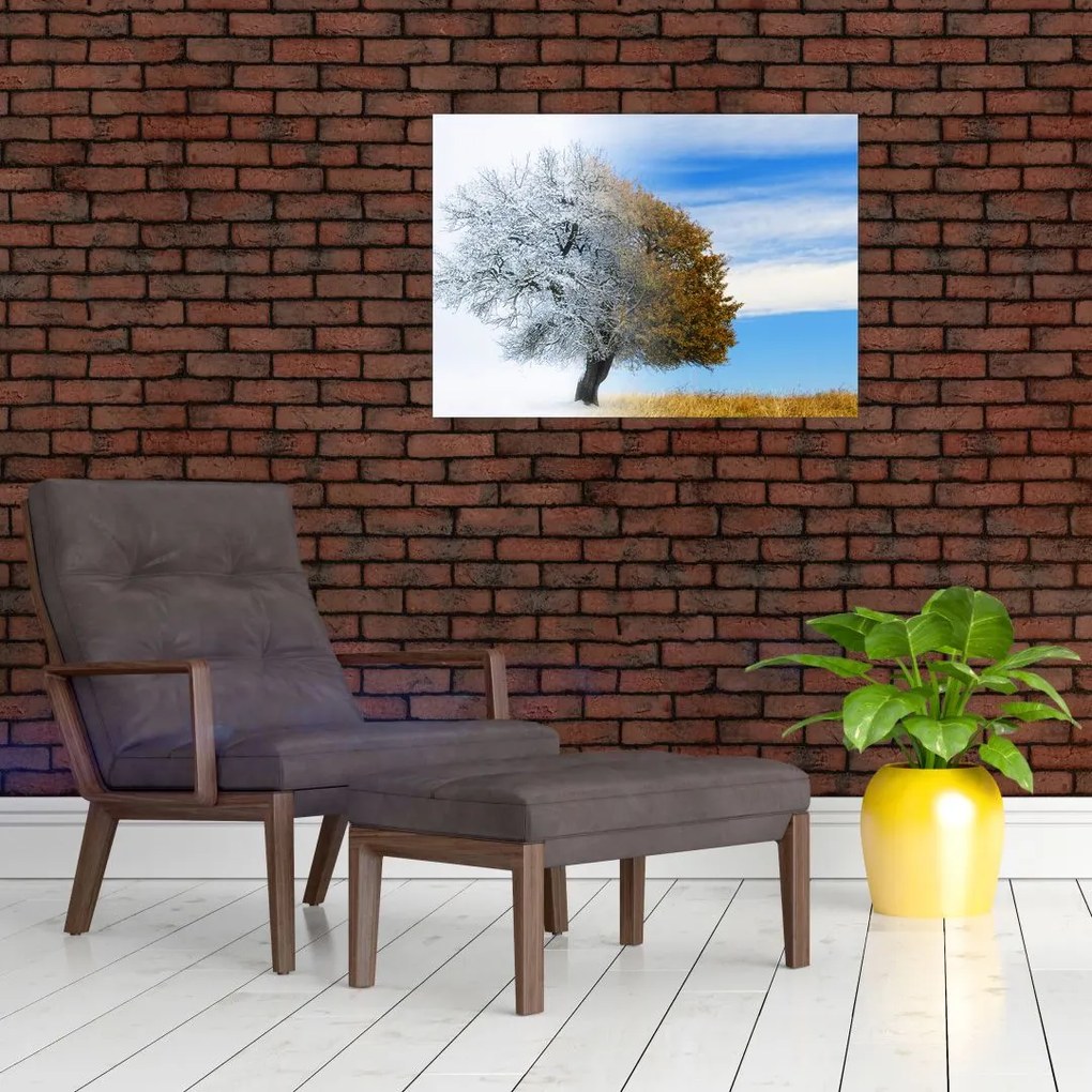 Obraz na szkle - Zmiana pór roku (70x50 cm)