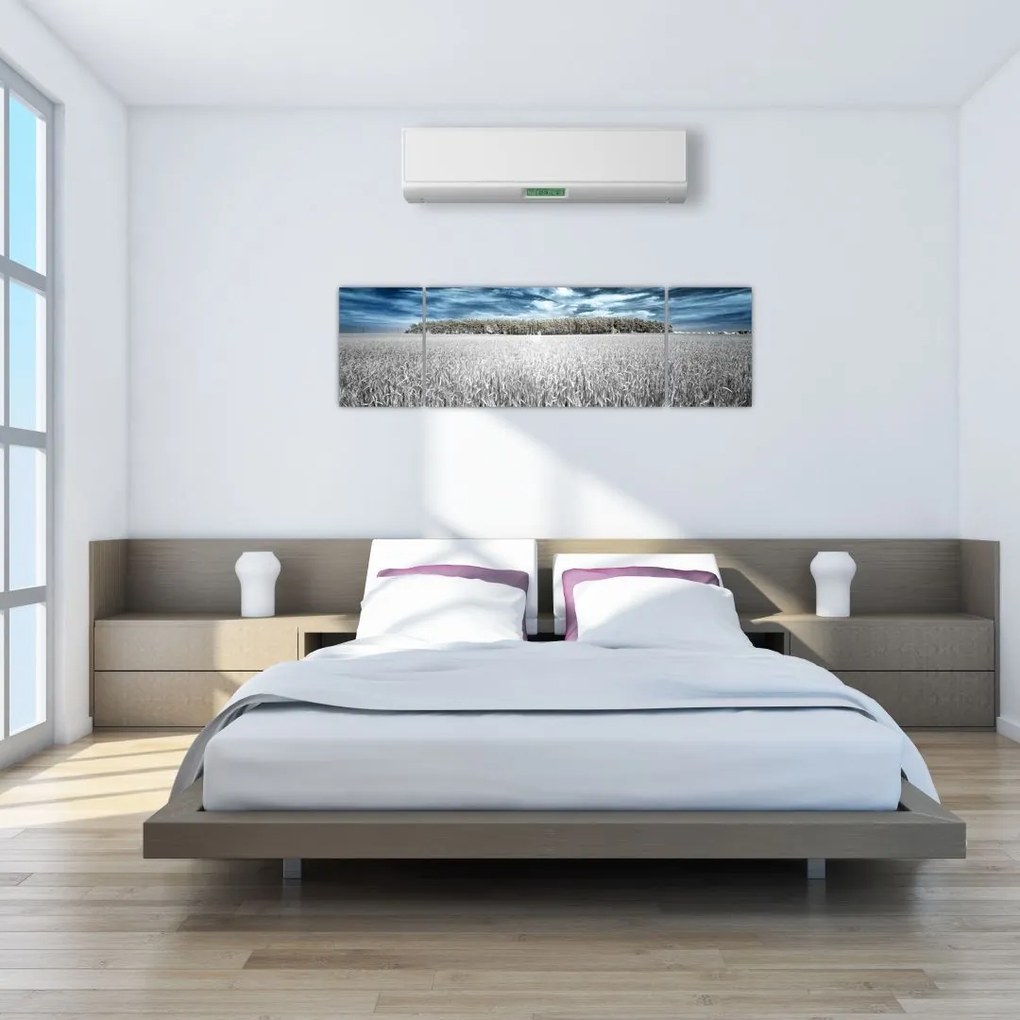Obraz pola (170x50 cm)