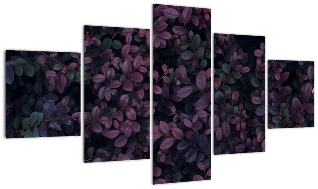 Obraz ciemnoczerwonych liści (125x70 cm)