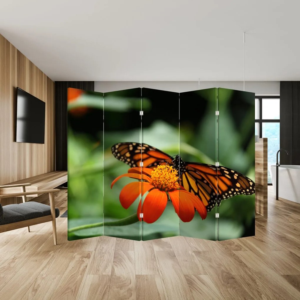 Parawan - Motyl na kwiatku (210x170 cm)