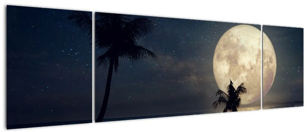 Obraz - Plaża pod pełnią księżyca (170x50 cm)