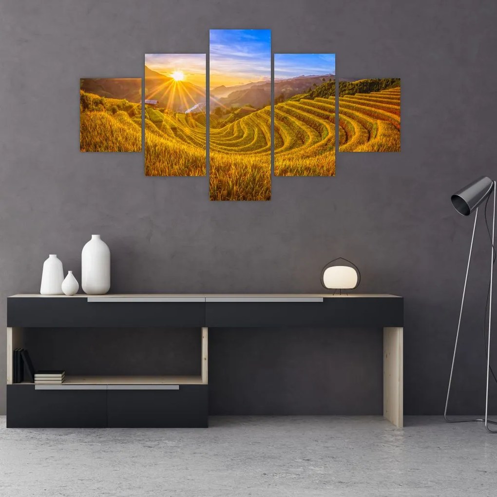 Obraz - Pole ryżowe w Wietnamie (125x70 cm)