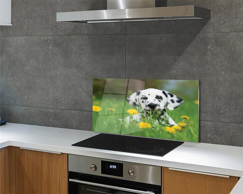 Szklany Panel Szczęśliwy Pies na Zielonej Łące