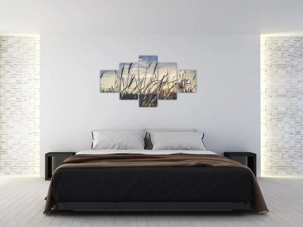 Obraz kwiatów łąkowych (125x70 cm)