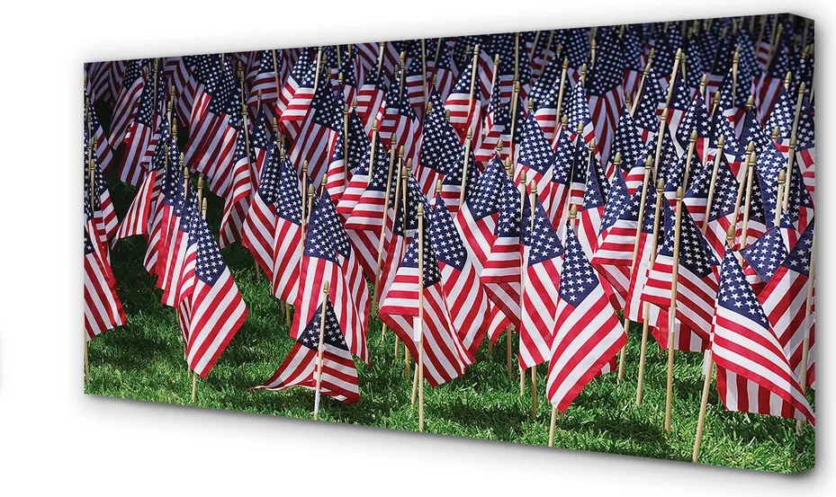 Obraz na płótnie Flagi Stanów Zjednoczonych