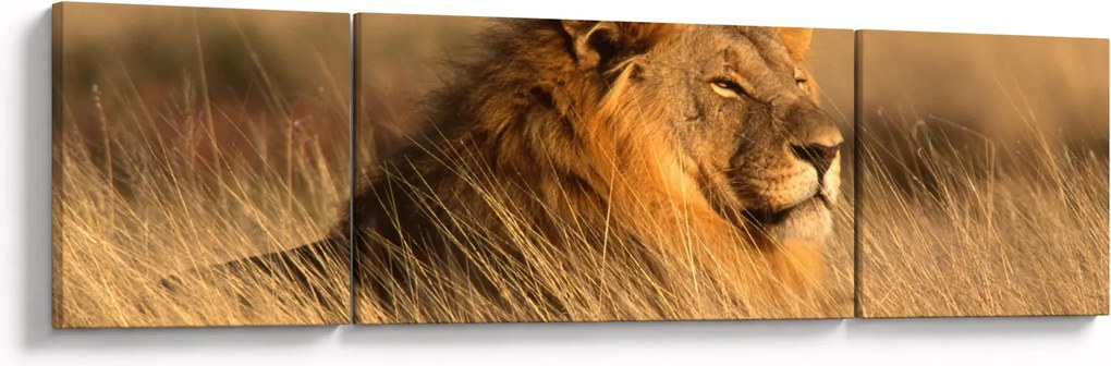 Obraz - Park Narodowy Etosha (170x50 cm)