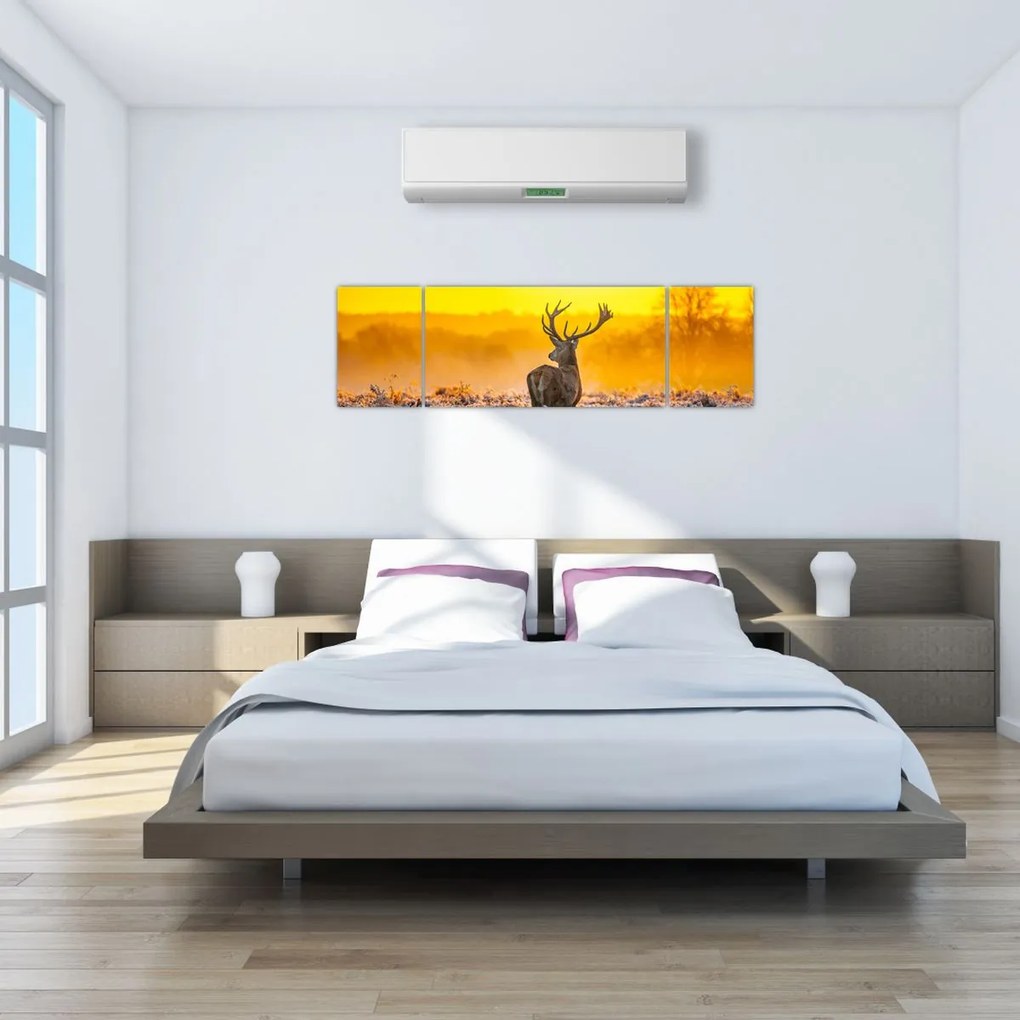 Obraz - Jeleń o wschodzie słońca (170x50 cm)