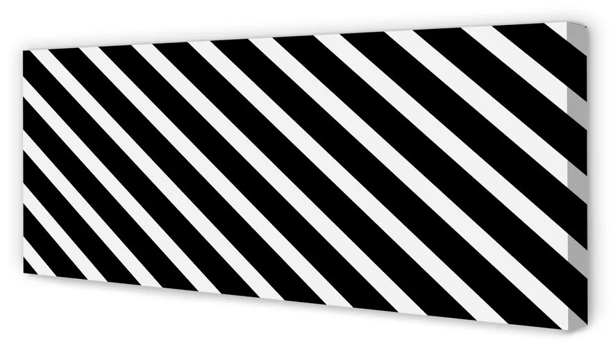 Obraz na płótnie Paski zebra