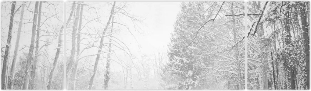 Obraz - Drewniane molo zimą (170x50 cm)